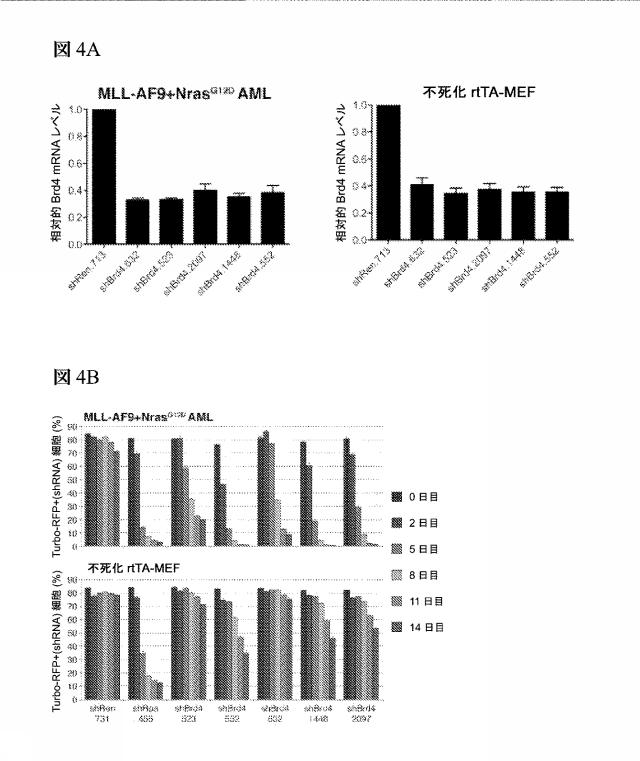 2016102105-白血病を治療するための組成物および方法 図000063