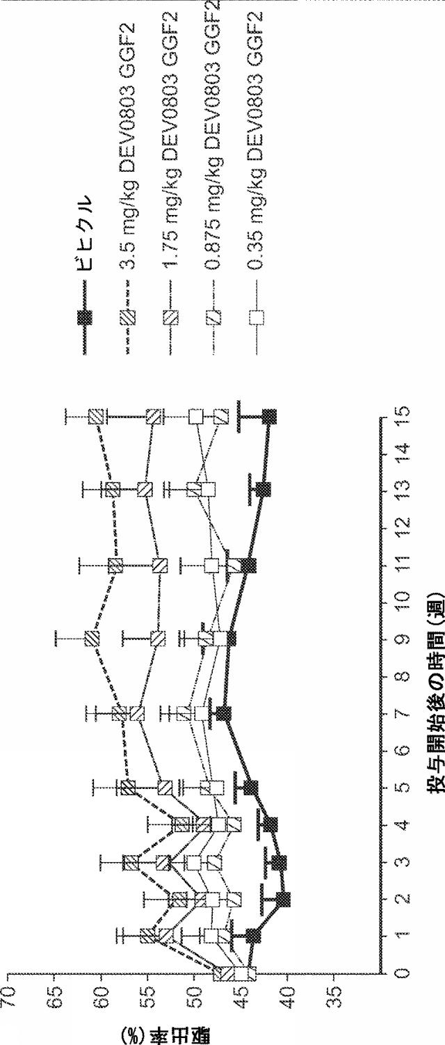 2019194208-心不全の治療または予防のためのニューレグリンまたはその断片の治療的投与の方法 図000063