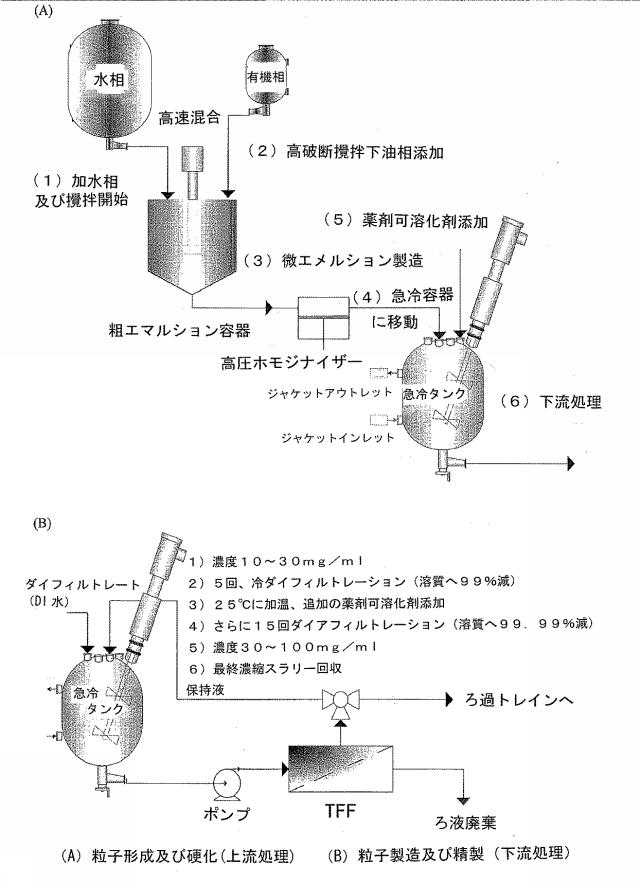 2016041756-薬剤を装填したポリマーナノ粒子及びその製造方法と使用方法 図000064