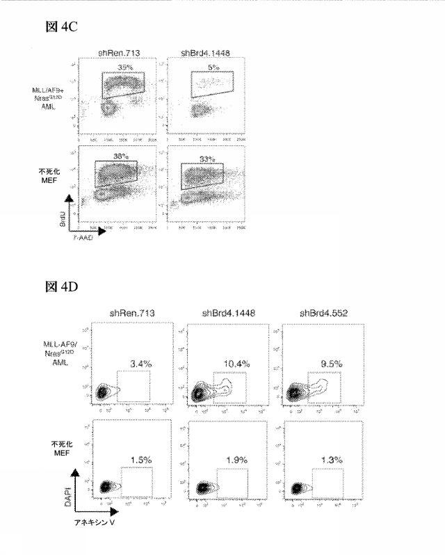 2016102105-白血病を治療するための組成物および方法 図000064