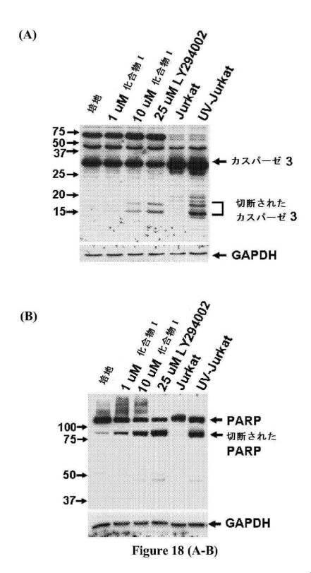 2016222700-血液学的な悪性疾患のための併用療法 図000064