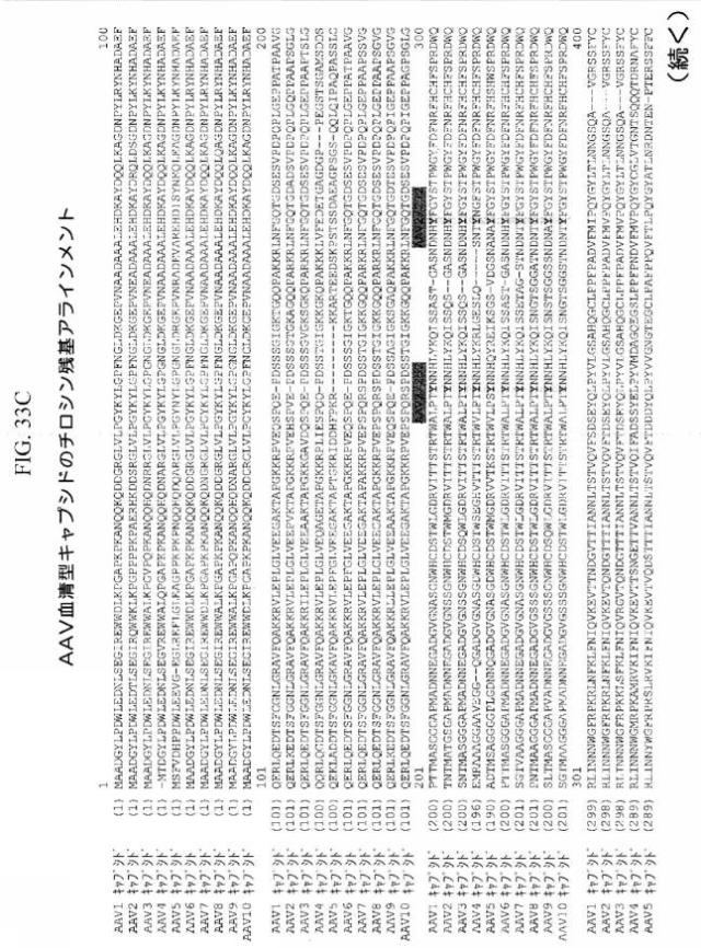 2020048571-キャプシド修飾ｒＡＡＶ３ベクター組成物およびヒト肝がんの遺伝子治療における使用方法 図000064