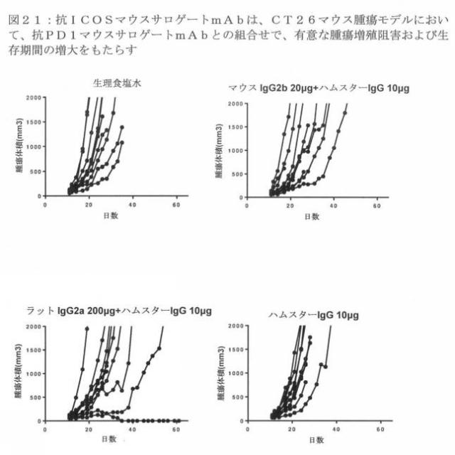 2020079252-アゴニスト性ＩＣＯＳ結合タンパク質 図000064