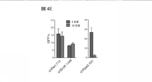 2016102105-白血病を治療するための組成物および方法 図000065