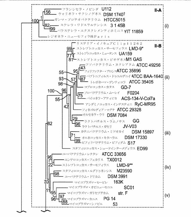 2018138054-ＲＮＡ依存性標的ＤＮＡ修飾およびＲＮＡ依存性転写調節のための方法および組成物 図000066