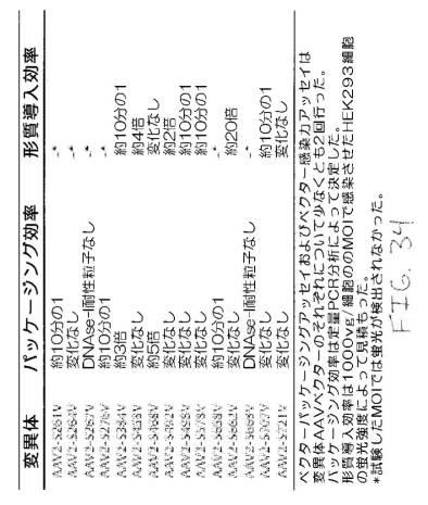 2020048571-キャプシド修飾ｒＡＡＶ３ベクター組成物およびヒト肝がんの遺伝子治療における使用方法 図000066