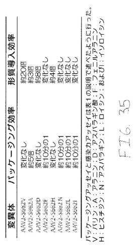 2020048571-キャプシド修飾ｒＡＡＶ３ベクター組成物およびヒト肝がんの遺伝子治療における使用方法 図000067