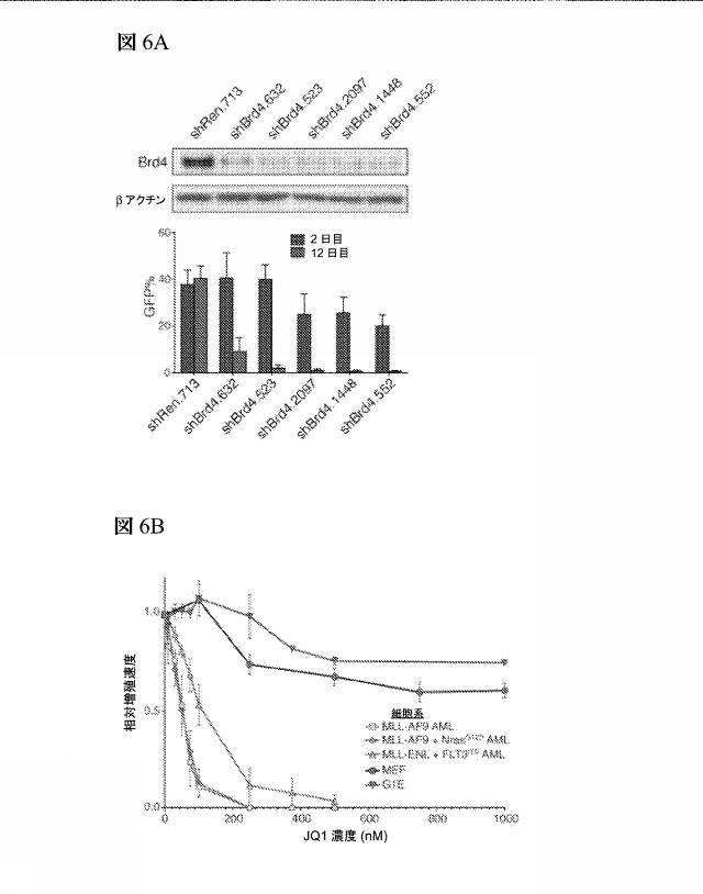 2016102105-白血病を治療するための組成物および方法 図000068