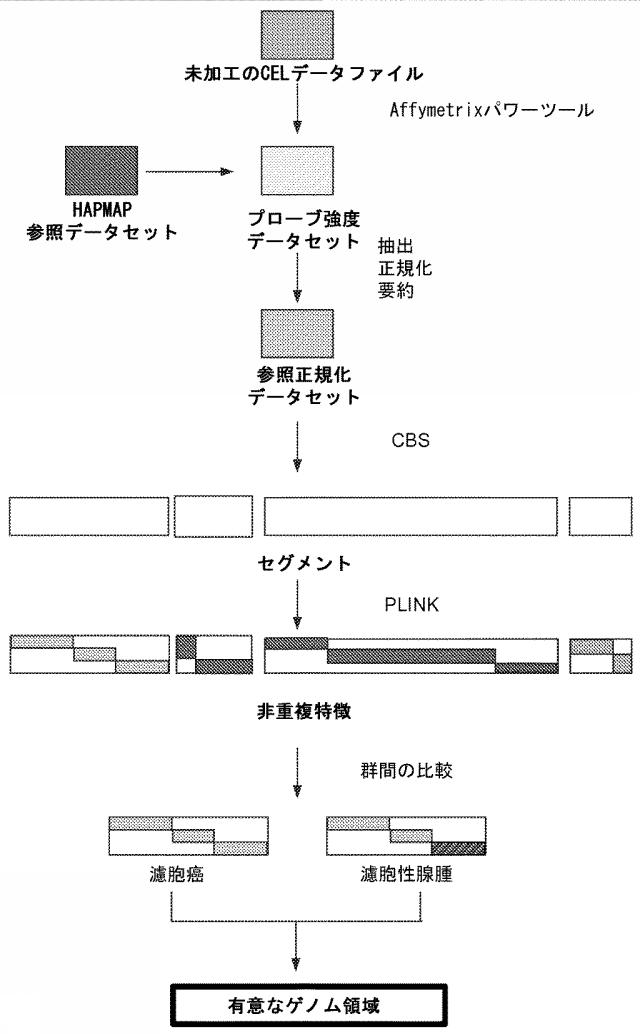 2020108402-甲状腺状態の診断のための方法および組成物 図000070