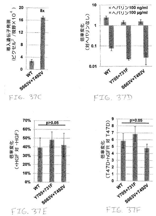 2020048571-キャプシド修飾ｒＡＡＶ３ベクター組成物およびヒト肝がんの遺伝子治療における使用方法 図000071