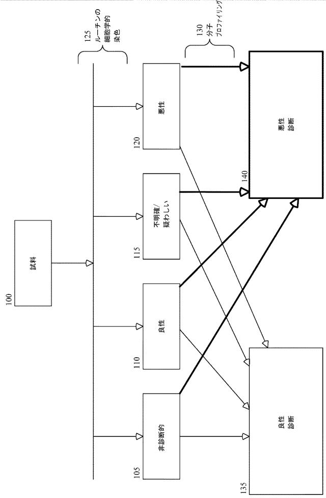 2020108402-甲状腺状態の診断のための方法および組成物 図000071