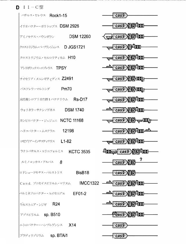 2018138054-ＲＮＡ依存性標的ＤＮＡ修飾およびＲＮＡ依存性転写調節のための方法および組成物 図000072