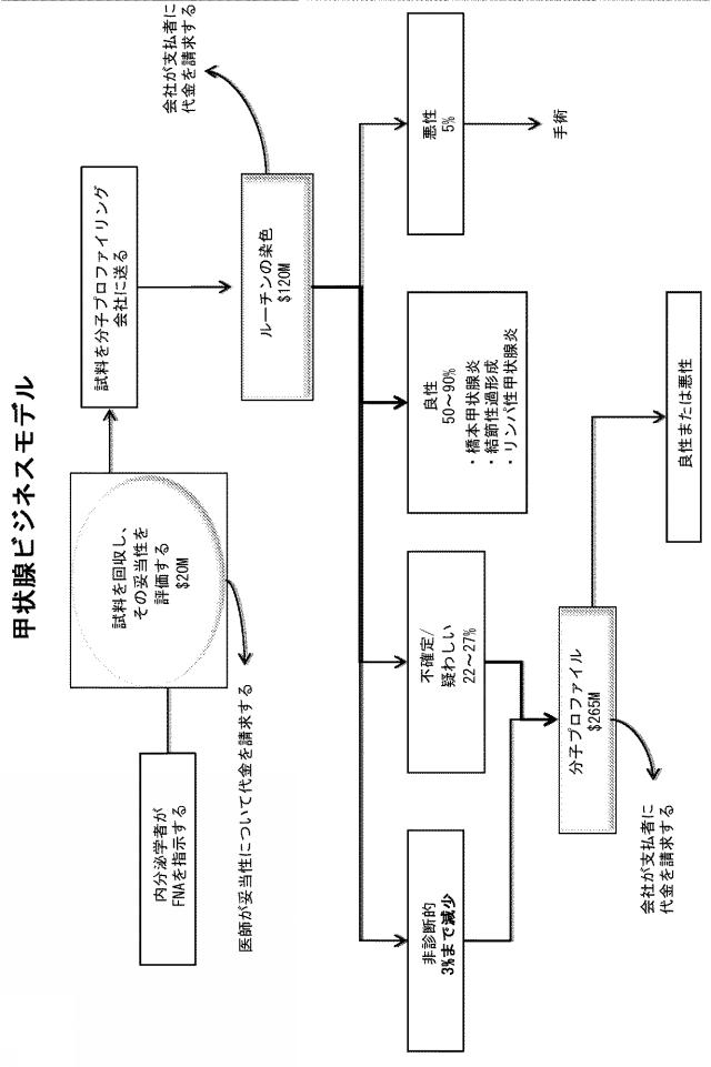 2020108402-甲状腺状態の診断のための方法および組成物 図000072