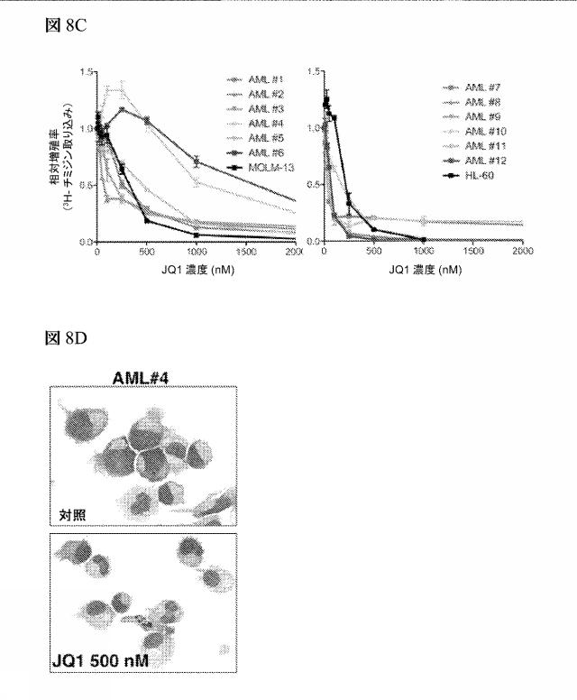 2016102105-白血病を治療するための組成物および方法 図000074