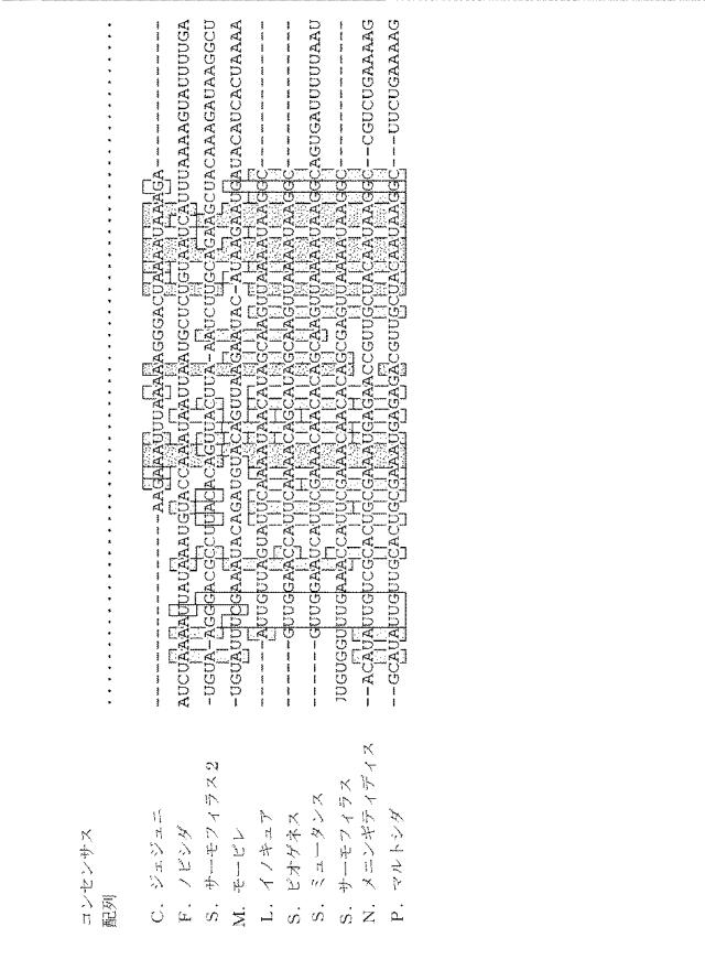 2018138054-ＲＮＡ依存性標的ＤＮＡ修飾およびＲＮＡ依存性転写調節のための方法および組成物 図000076