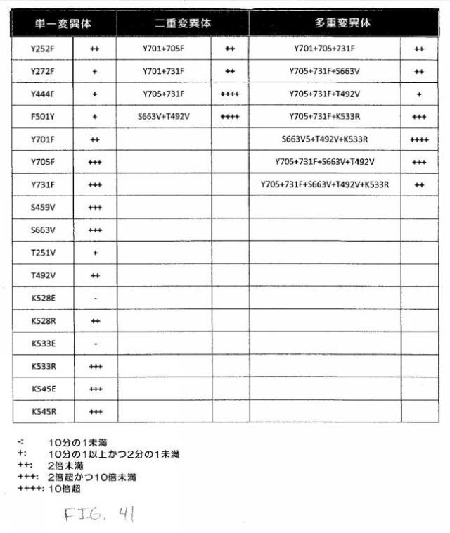 2020048571-キャプシド修飾ｒＡＡＶ３ベクター組成物およびヒト肝がんの遺伝子治療における使用方法 図000076