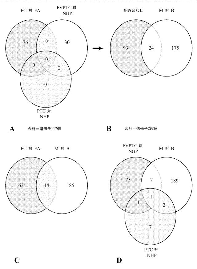 2020108402-甲状腺状態の診断のための方法および組成物 図000076