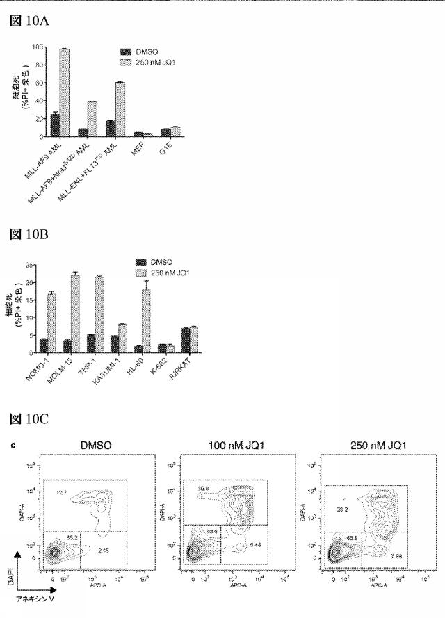 2016102105-白血病を治療するための組成物および方法 図000077