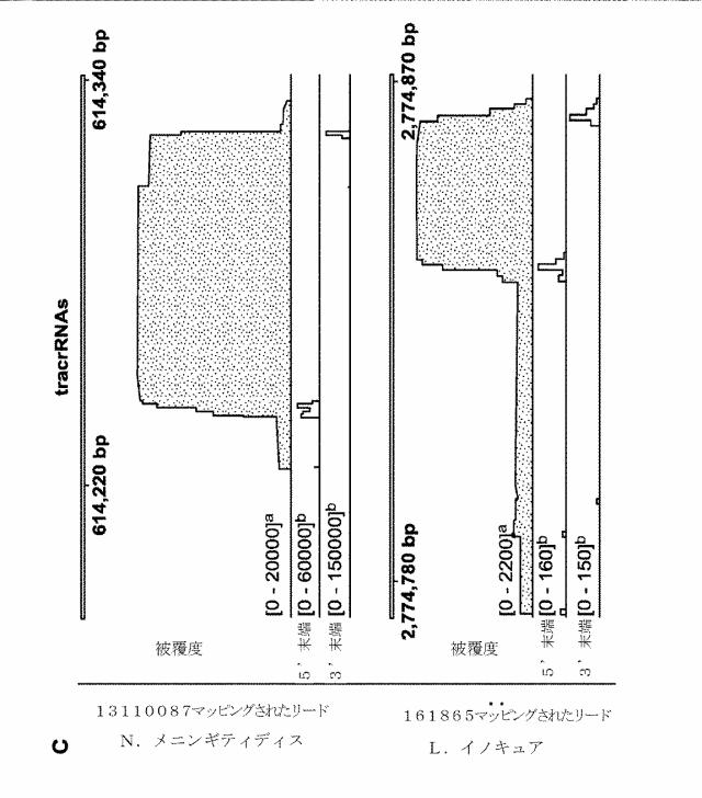 2018138054-ＲＮＡ依存性標的ＤＮＡ修飾およびＲＮＡ依存性転写調節のための方法および組成物 図000080
