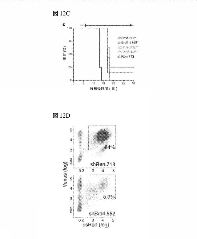 2016102105-白血病を治療するための組成物および方法 図000081