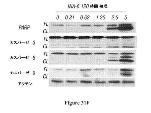 2016222700-血液学的な悪性疾患のための併用療法 図000081