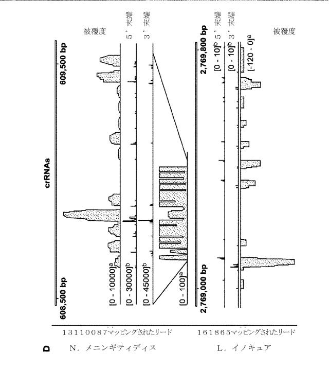 2018138054-ＲＮＡ依存性標的ＤＮＡ修飾およびＲＮＡ依存性転写調節のための方法および組成物 図000081