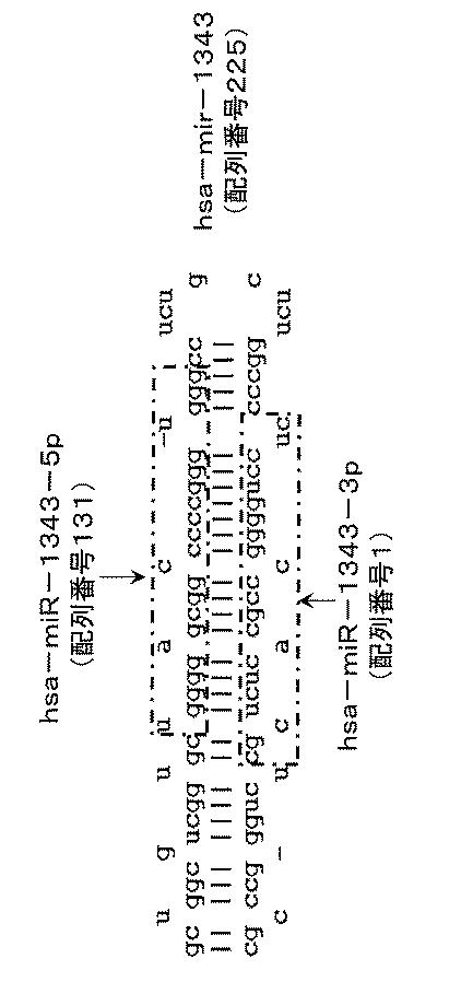 2021072859-肝臓がんの検出キット又はデバイス及び検出方法 図000082