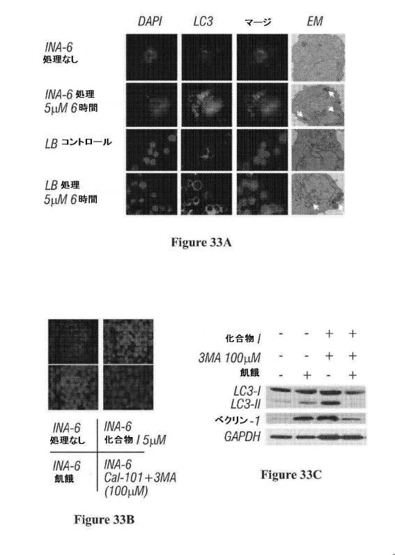 2016222700-血液学的な悪性疾患のための併用療法 図000083