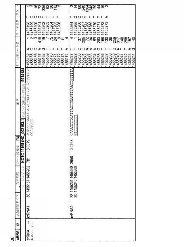 2018138054-ＲＮＡ依存性標的ＤＮＡ修飾およびＲＮＡ依存性転写調節のための方法および組成物 図000084