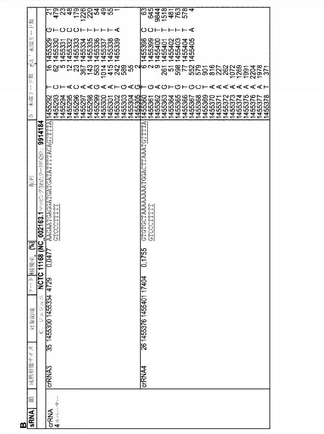 2018138054-ＲＮＡ依存性標的ＤＮＡ修飾およびＲＮＡ依存性転写調節のための方法および組成物 図000085