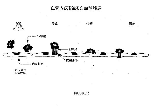 2015187165-眼障害の治療のための組成物および方法 図000086