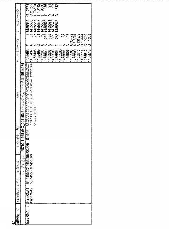 2018138054-ＲＮＡ依存性標的ＤＮＡ修飾およびＲＮＡ依存性転写調節のための方法および組成物 図000086