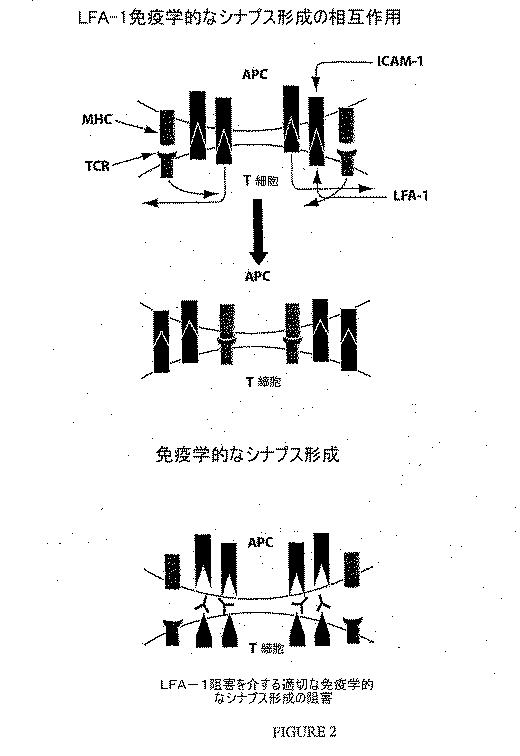 2015187165-眼障害の治療のための組成物および方法 図000087