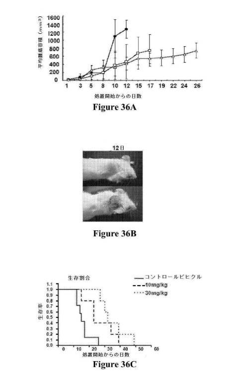 2016222700-血液学的な悪性疾患のための併用療法 図000088