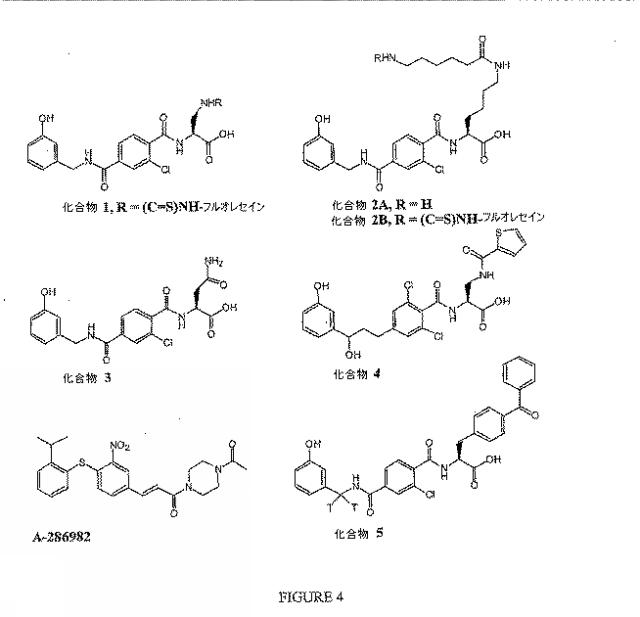 2015187165-眼障害の治療のための組成物および方法 図000089