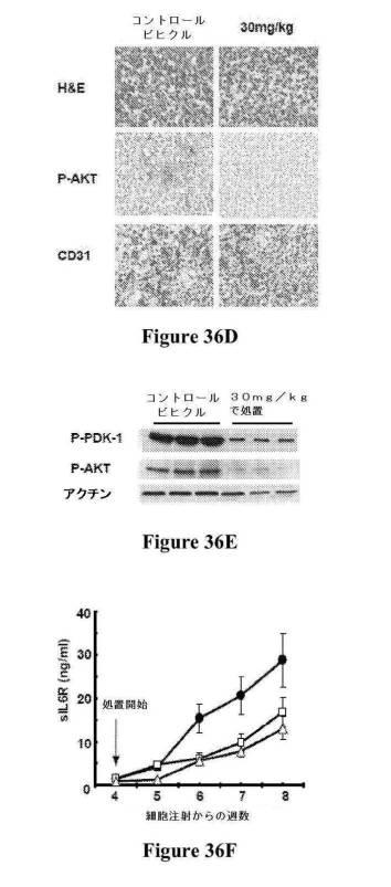 2016222700-血液学的な悪性疾患のための併用療法 図000089