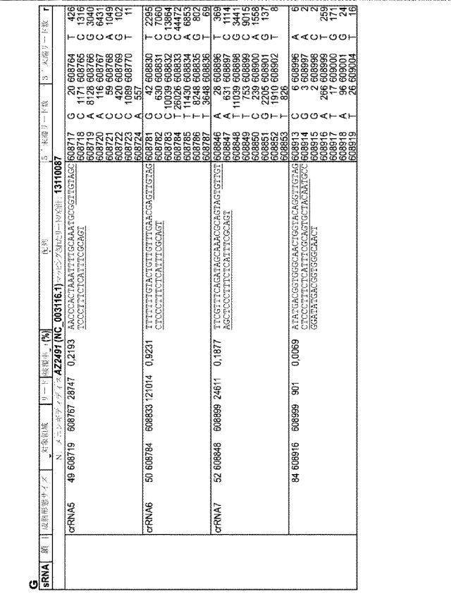 2018138054-ＲＮＡ依存性標的ＤＮＡ修飾およびＲＮＡ依存性転写調節のための方法および組成物 図000090