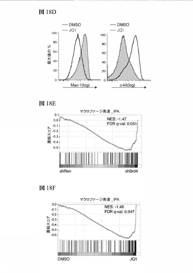 2016102105-白血病を治療するための組成物および方法 図000091