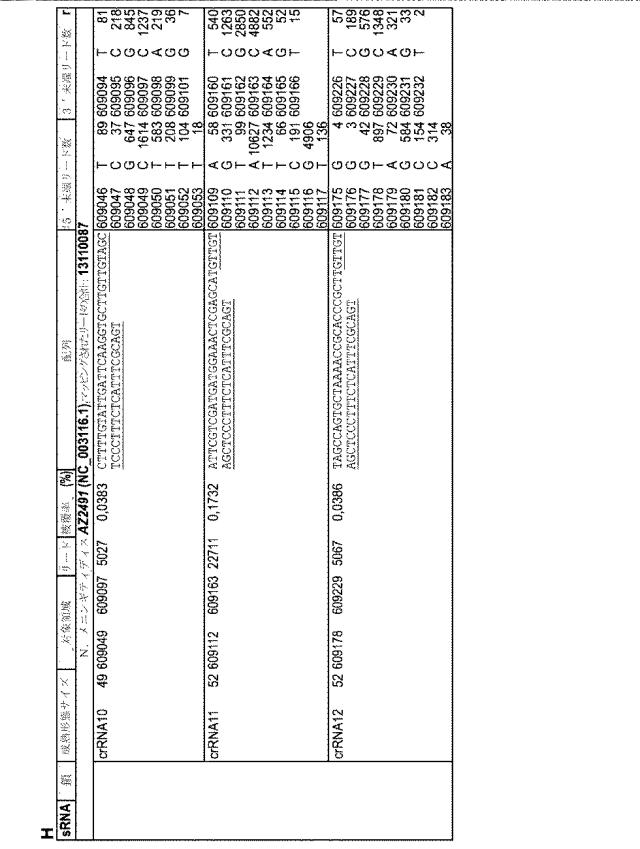 2018138054-ＲＮＡ依存性標的ＤＮＡ修飾およびＲＮＡ依存性転写調節のための方法および組成物 図000091