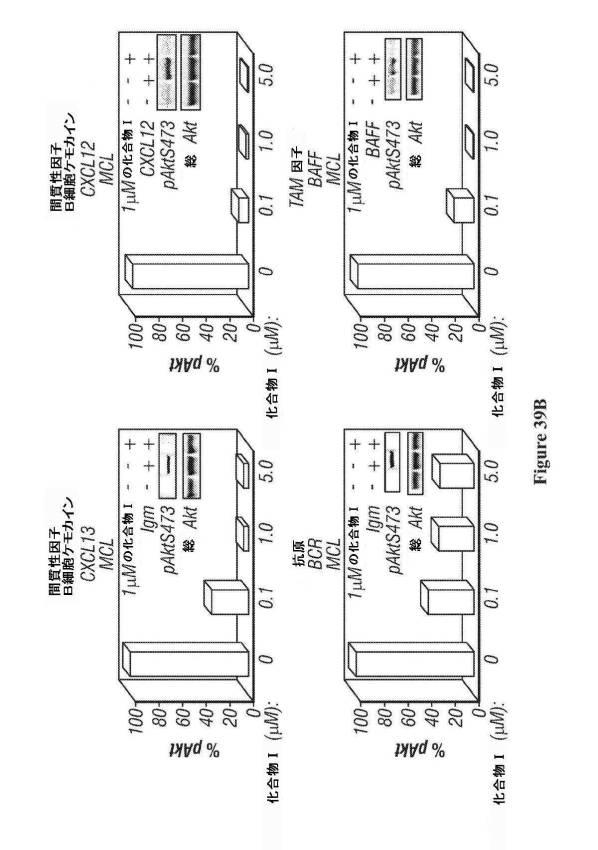 2016222700-血液学的な悪性疾患のための併用療法 図000093