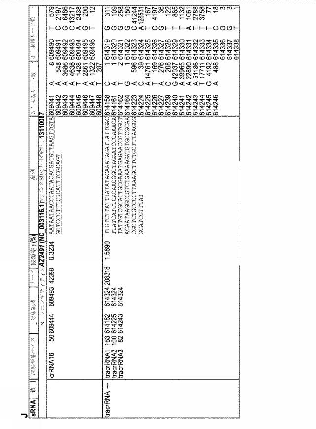 2018138054-ＲＮＡ依存性標的ＤＮＡ修飾およびＲＮＡ依存性転写調節のための方法および組成物 図000093