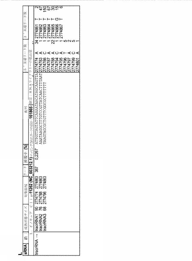 2018138054-ＲＮＡ依存性標的ＤＮＡ修飾およびＲＮＡ依存性転写調節のための方法および組成物 図000095