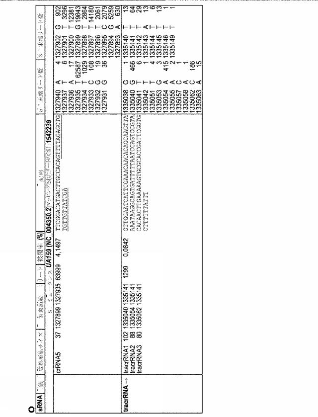 2018138054-ＲＮＡ依存性標的ＤＮＡ修飾およびＲＮＡ依存性転写調節のための方法および組成物 図000098