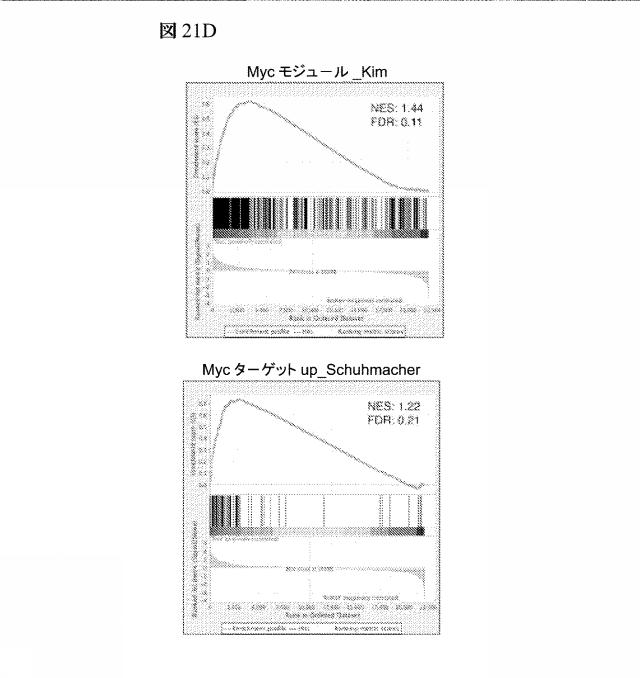 2016102105-白血病を治療するための組成物および方法 図000099