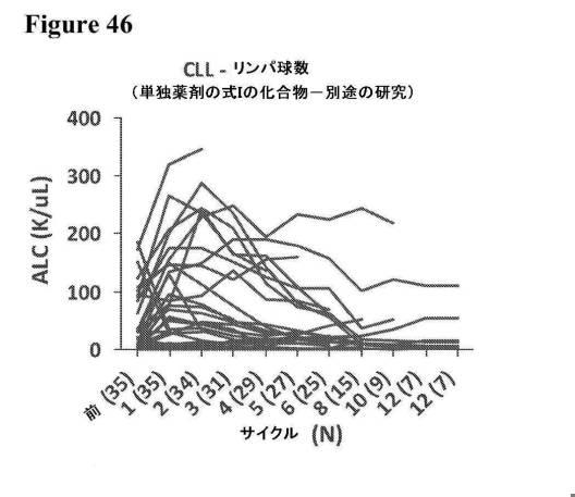 2016222700-血液学的な悪性疾患のための併用療法 図000100