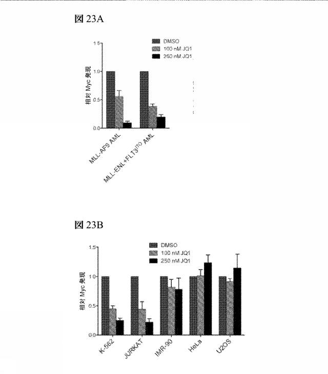 2016102105-白血病を治療するための組成物および方法 図000101