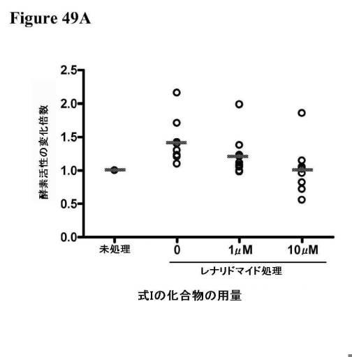 2016222700-血液学的な悪性疾患のための併用療法 図000103