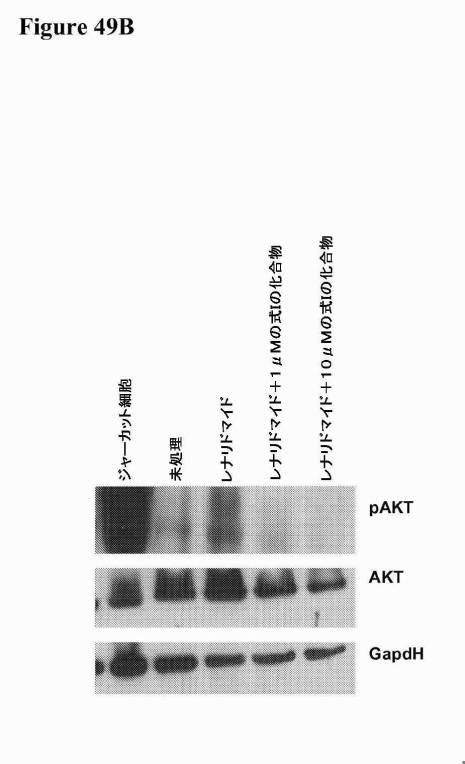 2016222700-血液学的な悪性疾患のための併用療法 図000104