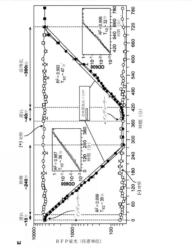 2018138054-ＲＮＡ依存性標的ＤＮＡ修飾およびＲＮＡ依存性転写調節のための方法および組成物 図000104