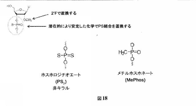 2021073182-修飾二本鎖ＲＮＡ剤 図000104